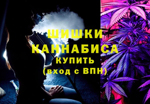 шишки Дмитров