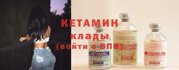 шишки Дмитров