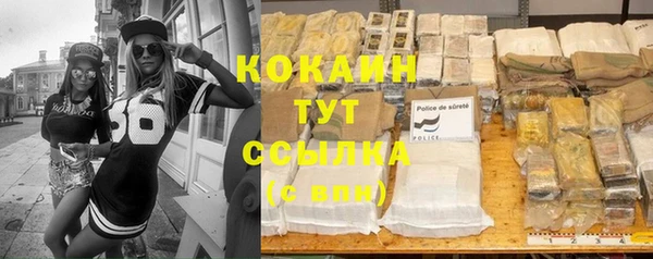 шишки Дмитров