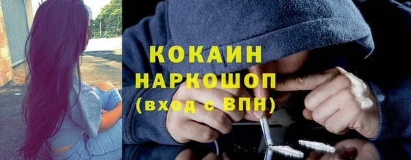 шишки Дмитров