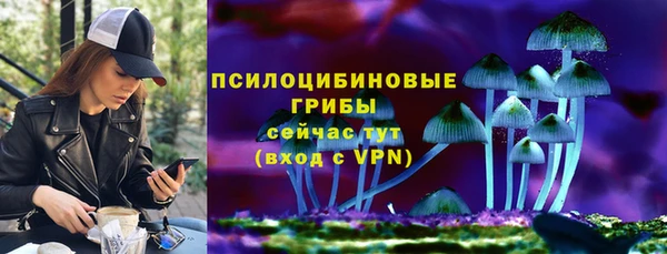 шишки Дмитров